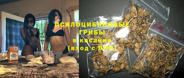 spice Алзамай