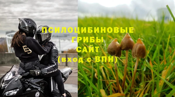 spice Алзамай